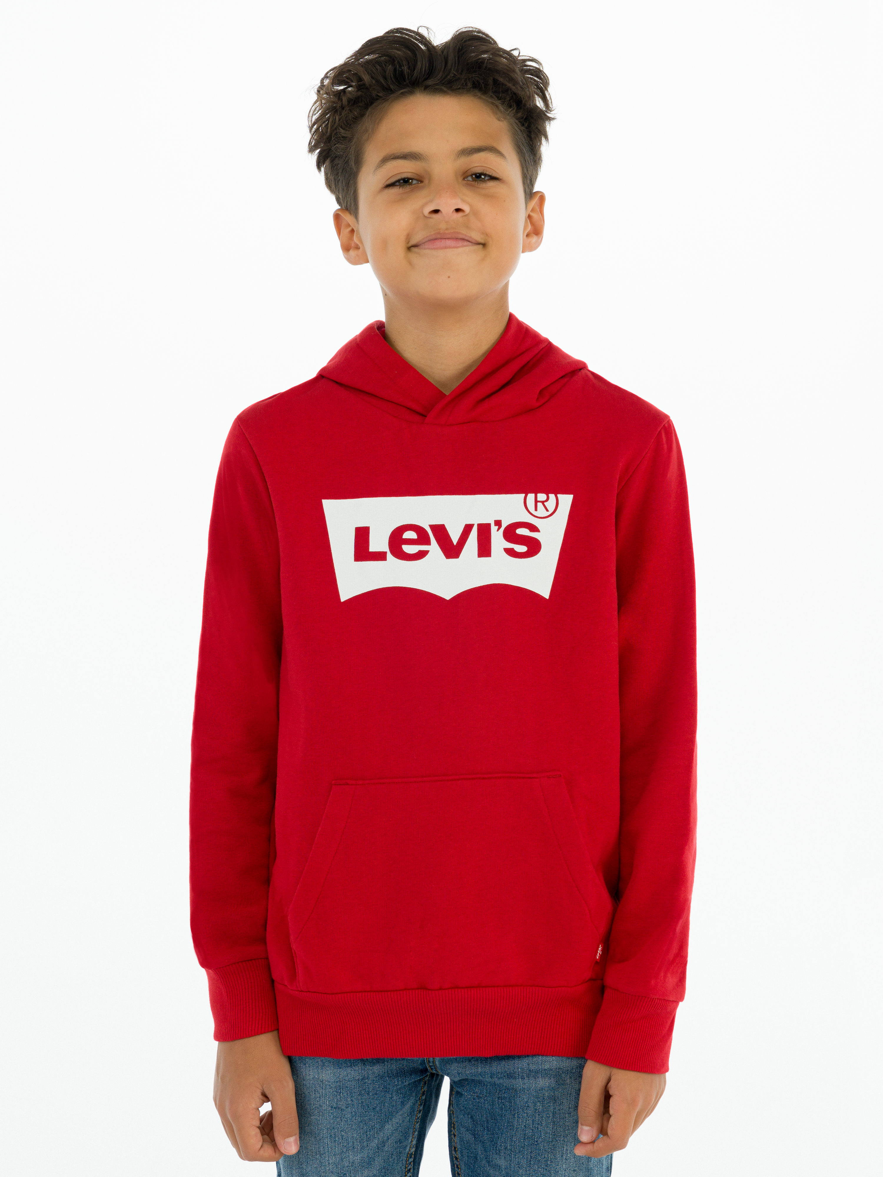 

Худи детское Levi's Lvb-Batwing Screenprint Hoodie 8E8778-R1R 110 см (3665115114058)