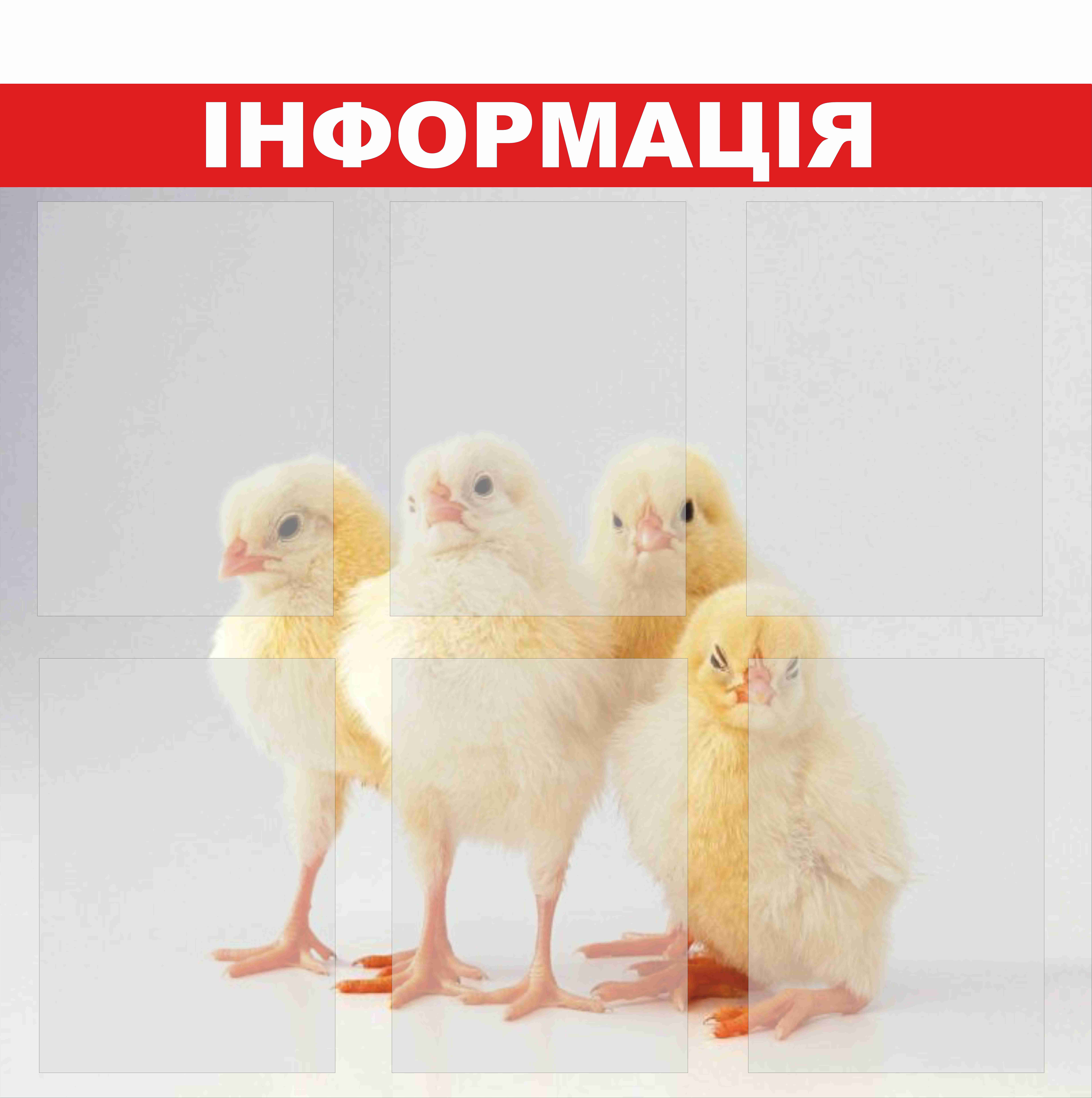 

Стенд Vivay "Інформація" 83x77 см (1575084)