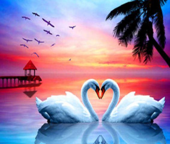 

Картина по номерам JO RSB8137 40*50 см Лебеди