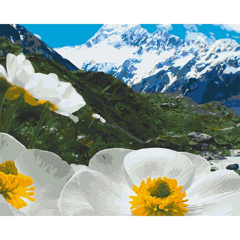 

Картина по номерам Art Craft Альпийские маки 40х50 см 10564-AC (00000400354)