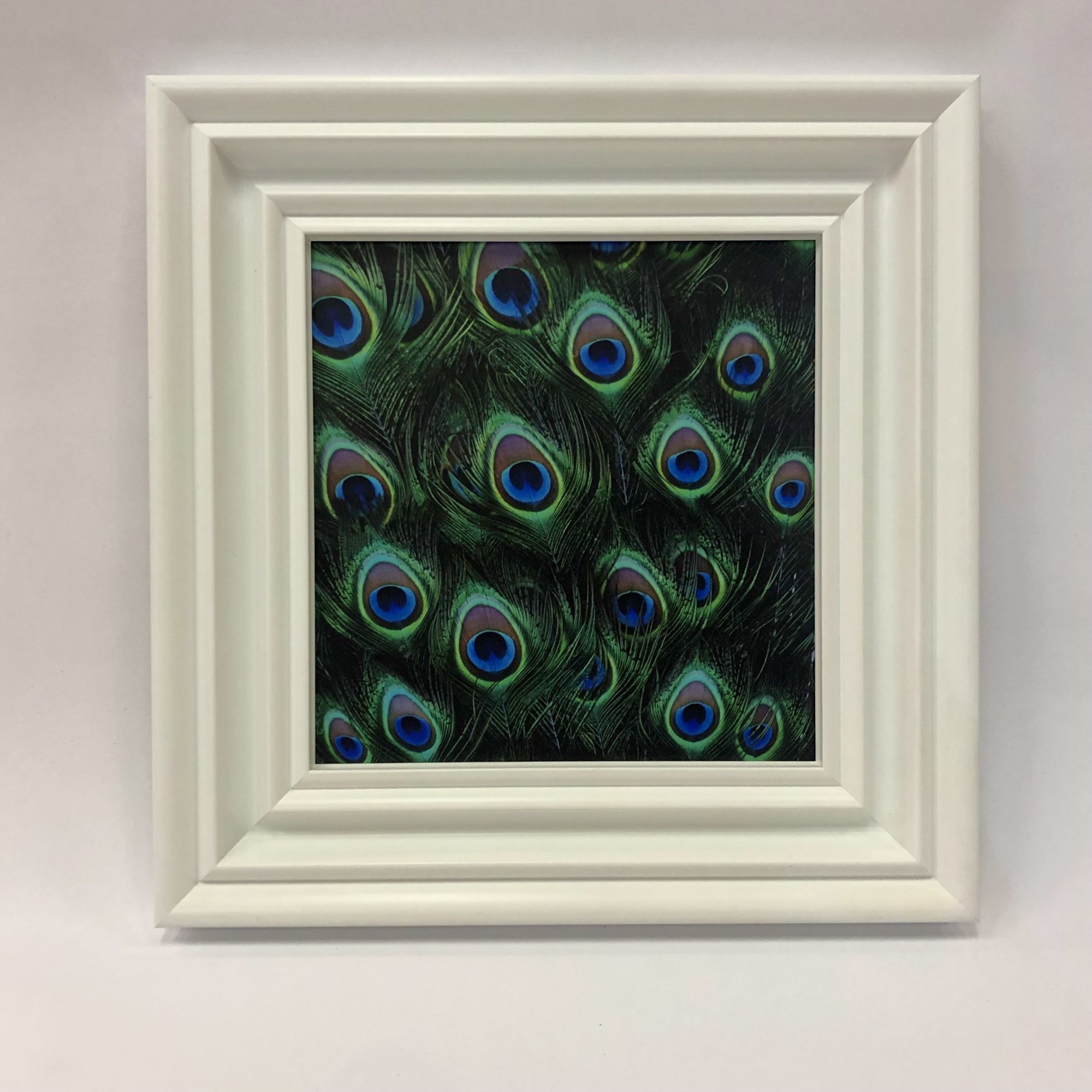 

Фотопостер "Хвост павлина" в раме 415х425мм FRAMES.POSTERS.DECOR