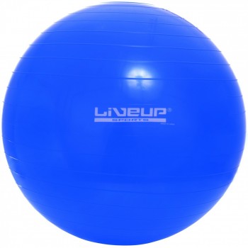 

Фитбол GYM BALL LIVEUP размер 65см Синий (LS3221-65b)