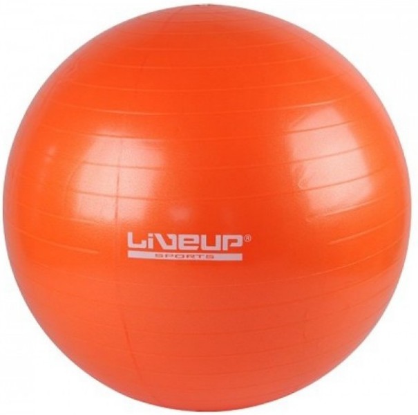 

Фитбол GYM BALL LIVEUP размер 55см Оранжевый (LS3221-55o)