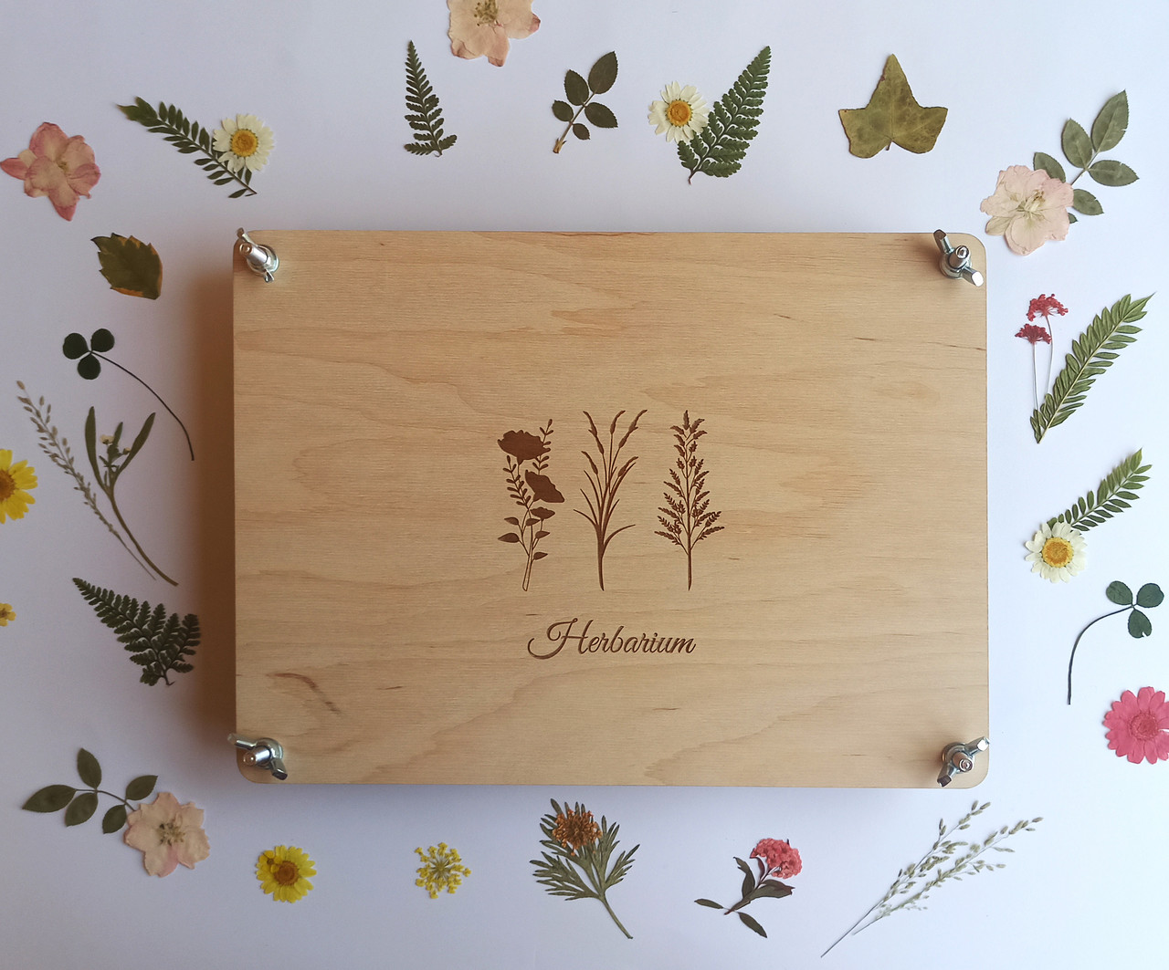 

Пресс для высушивания растений набор для создания гербария Herbarium