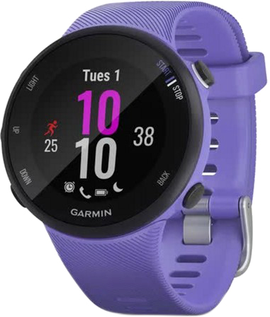 

Спортивные часы Garmin Forerunner 45s Iris (010-02156-01/11)
