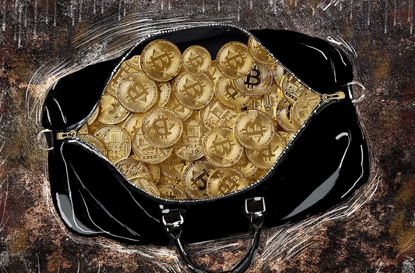 

Картина на холсте сумка с деньгами биткоин 60х90 см