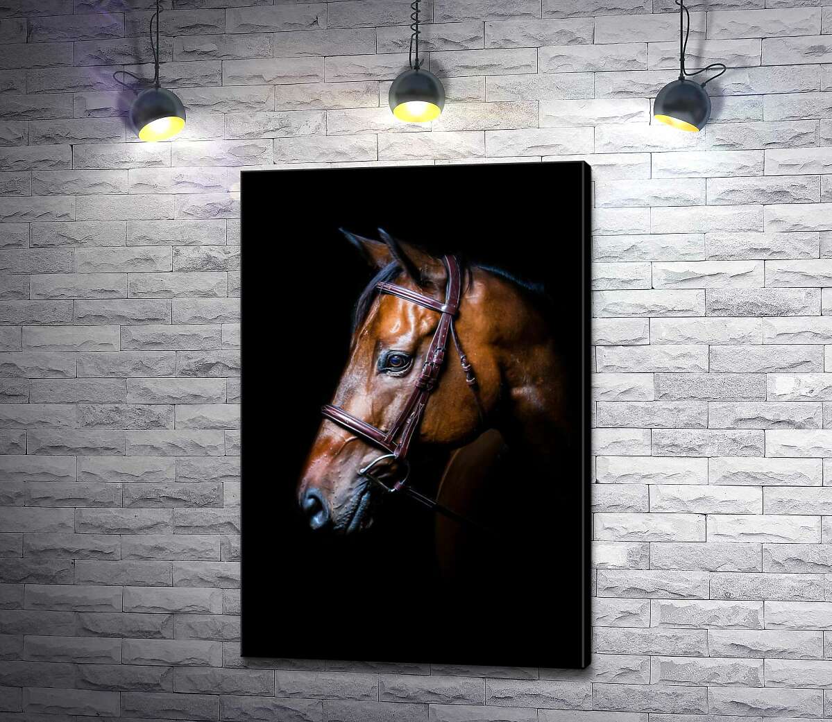 

Картина ArtPoster Благородный конь гнедой масти в уздечке 50x75 см Модуль №1