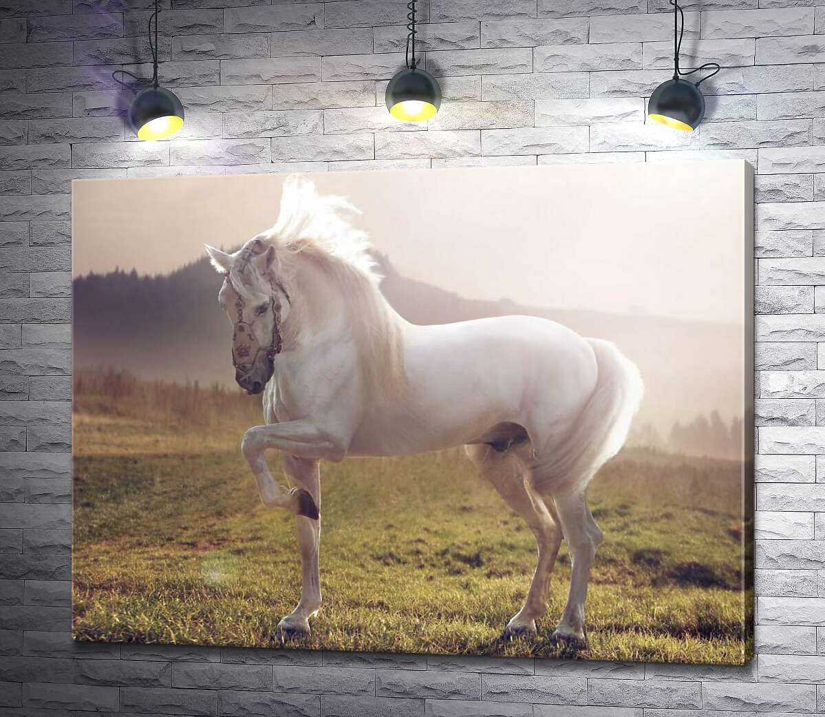 

Картина ArtPoster Белый красавец конь среди зеленого поля 130x98 см Модуль №1