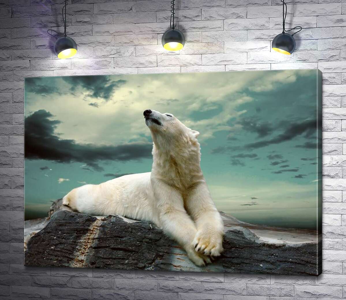 

Картина ArtPoster Белый медведь отдыхает на камне 100x71 см Модуль №1