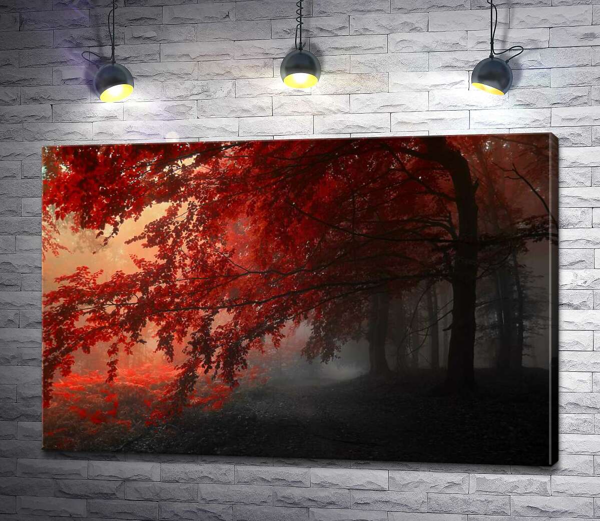 

Картина ArtPoster Красные кроны деревьев в тени осеннего леса 130x86 см Модуль №1