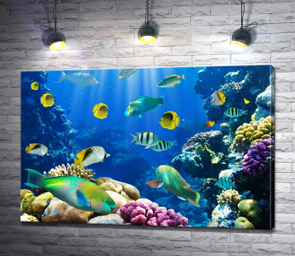 

Картина ArtPoster Красота подводного мира рыб и кораллов 100x67 см Модуль №1