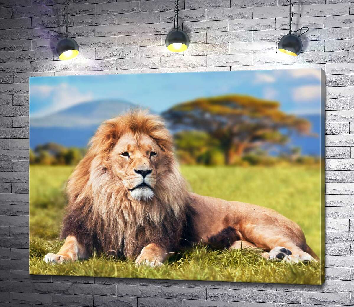 

Картина ArtPoster Лев отдыхает среди саванны 130x98 см Модуль №1