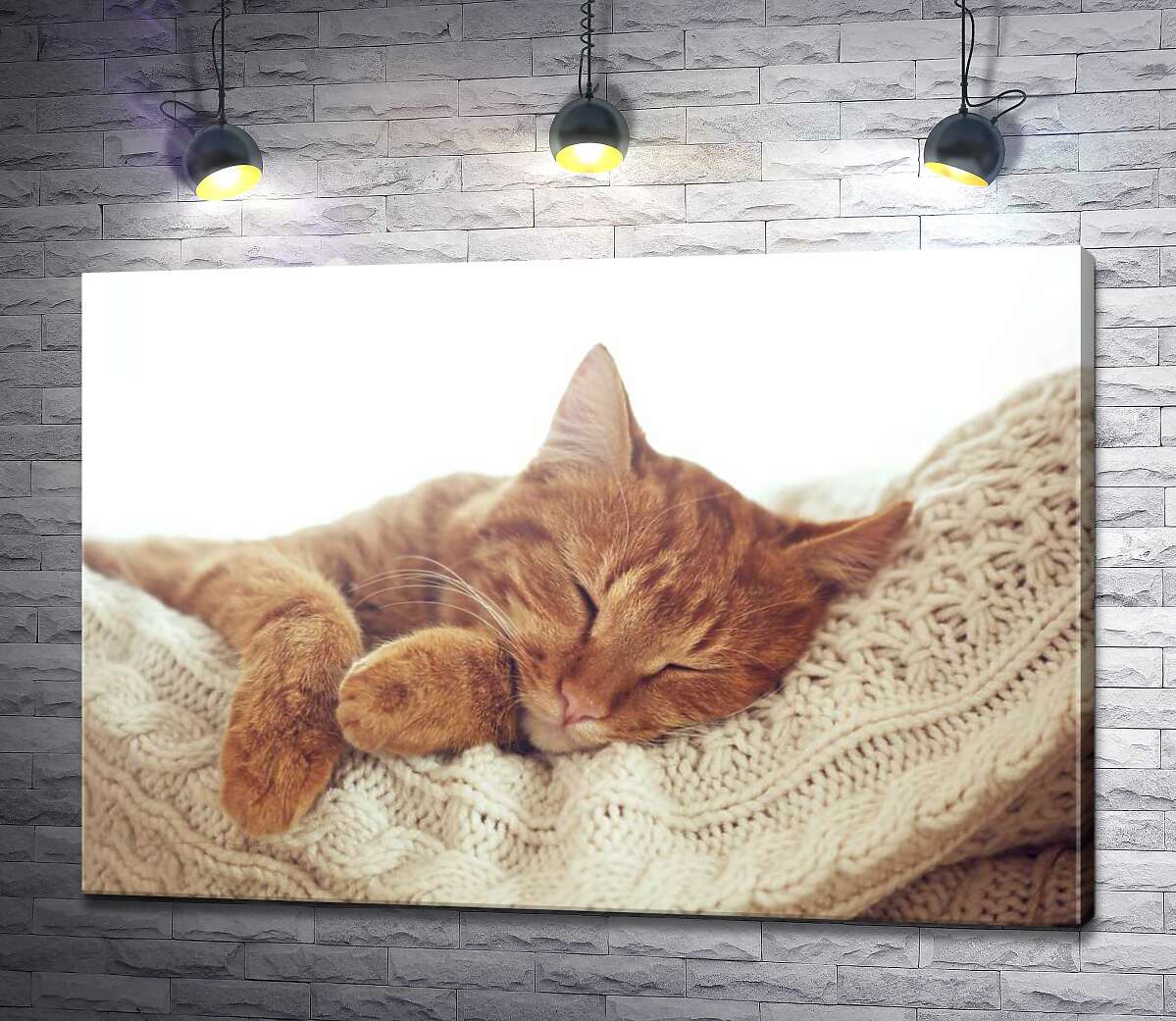 

Картина ArtPoster Кот мило отдыхает на белой подушке 130x90 см Модуль №1