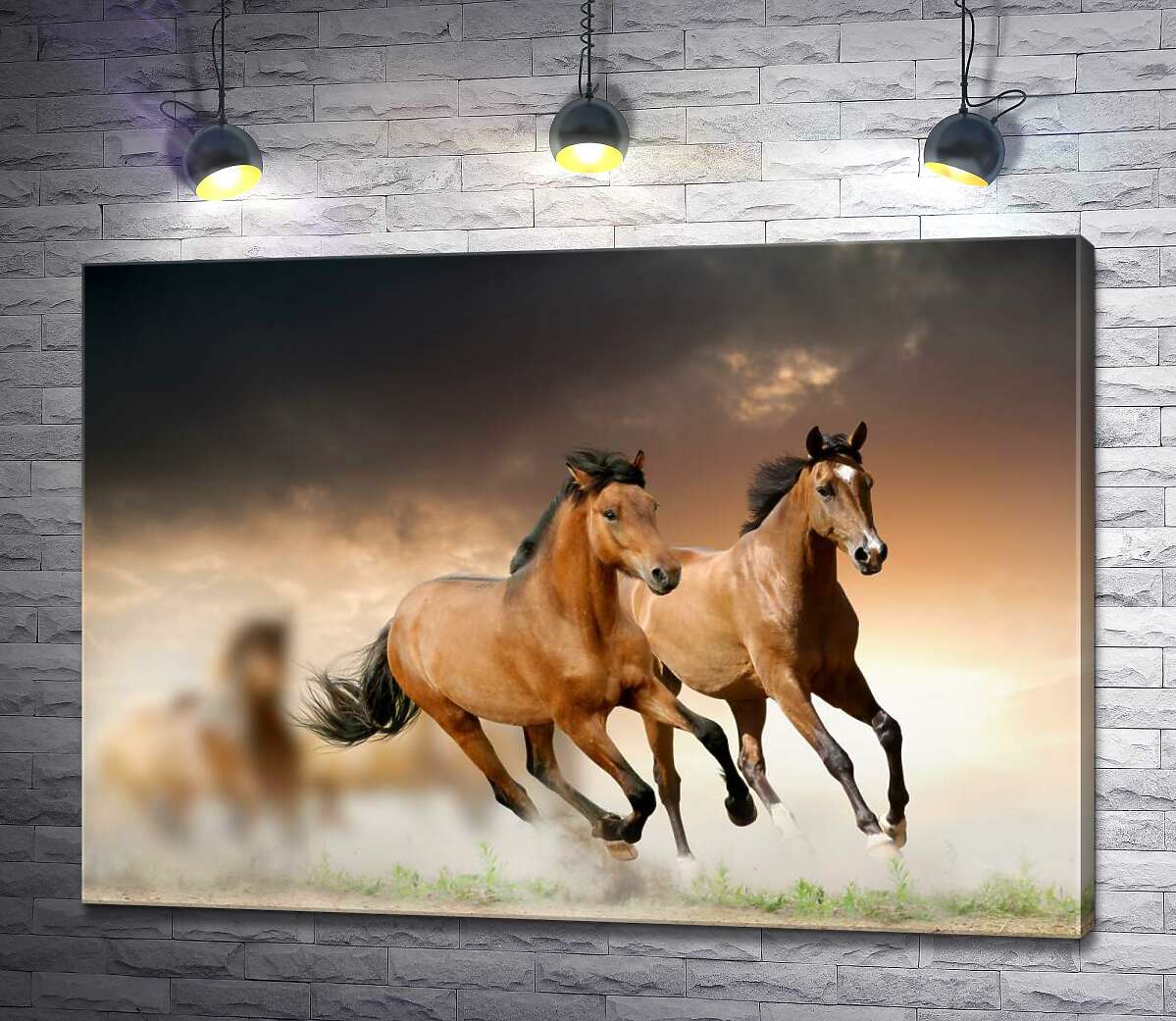 

Картина ArtPoster Пара гнедых лошадей скачет впереди табуна 100x71 см Модуль №1