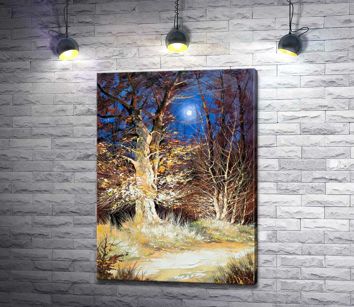 

Картина ArtPoster Ночная лесная тропа в лучах света 130x181 см Модуль №1