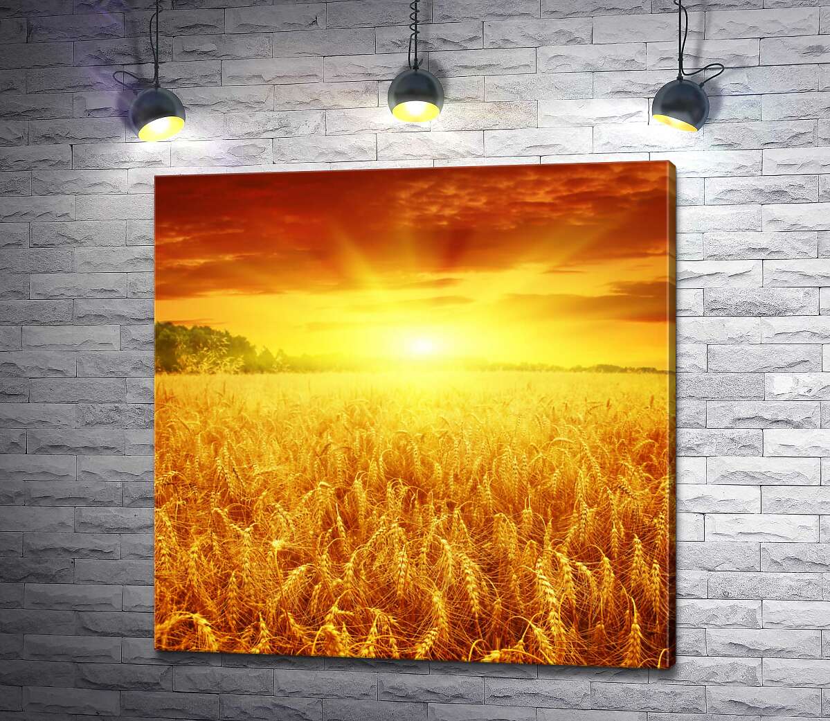 

Картина ArtPoster Налитая пшеница колосится золотом в лучах солнца 130x130 см Модуль №1