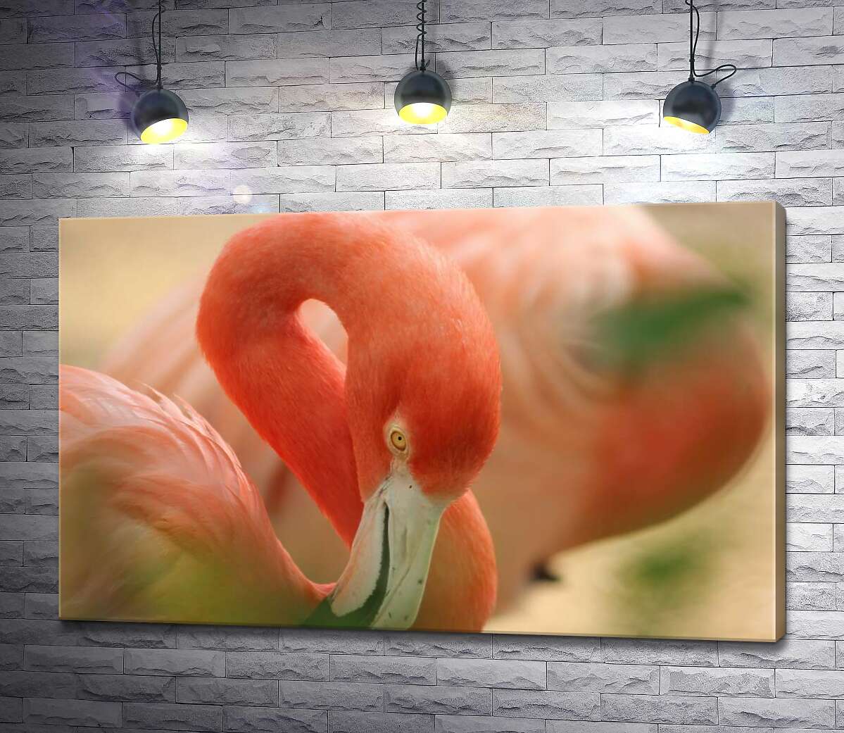 

Картина ArtPoster Нежно-розовое оперение на изгибах шеи фламинго 100x63 см Модуль №1