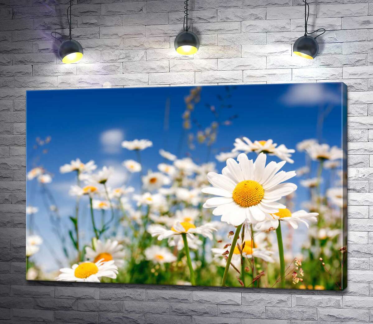 

Картина ArtPoster Поле белоснежных ромашек 100x67 см Модуль №1