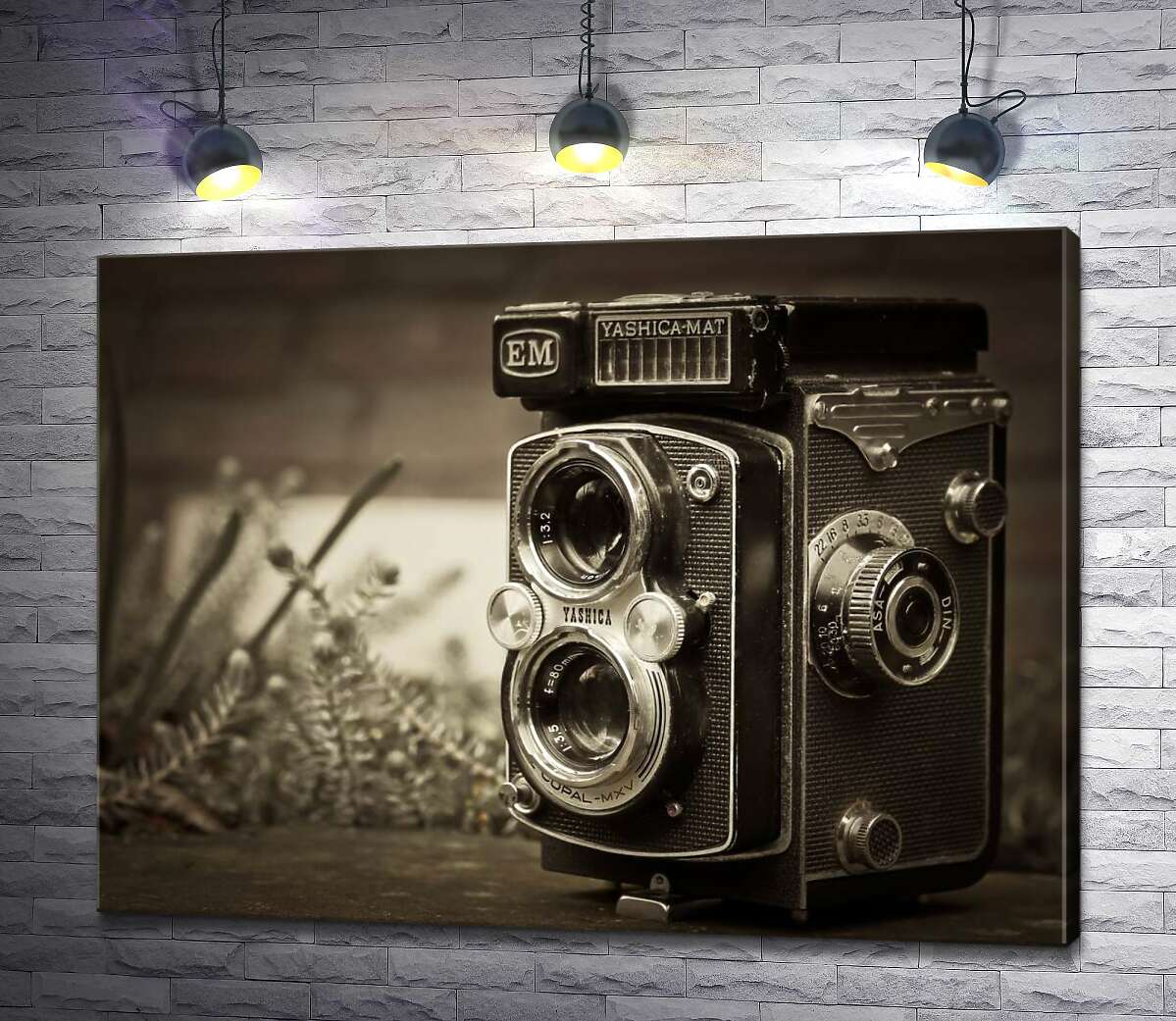 

Картина ArtPoster Японское чудо 80-х в фотоаппарате Yashica-Mat 100x75 см Модуль №1