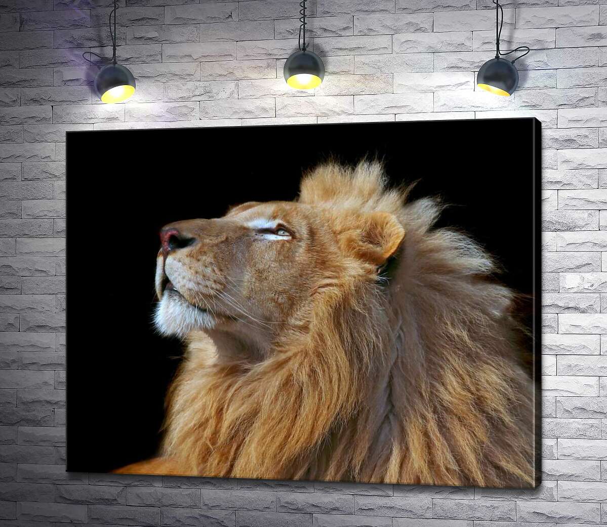 

Картина ArtPoster Царственный профиль льва 100x80 см Модуль №1