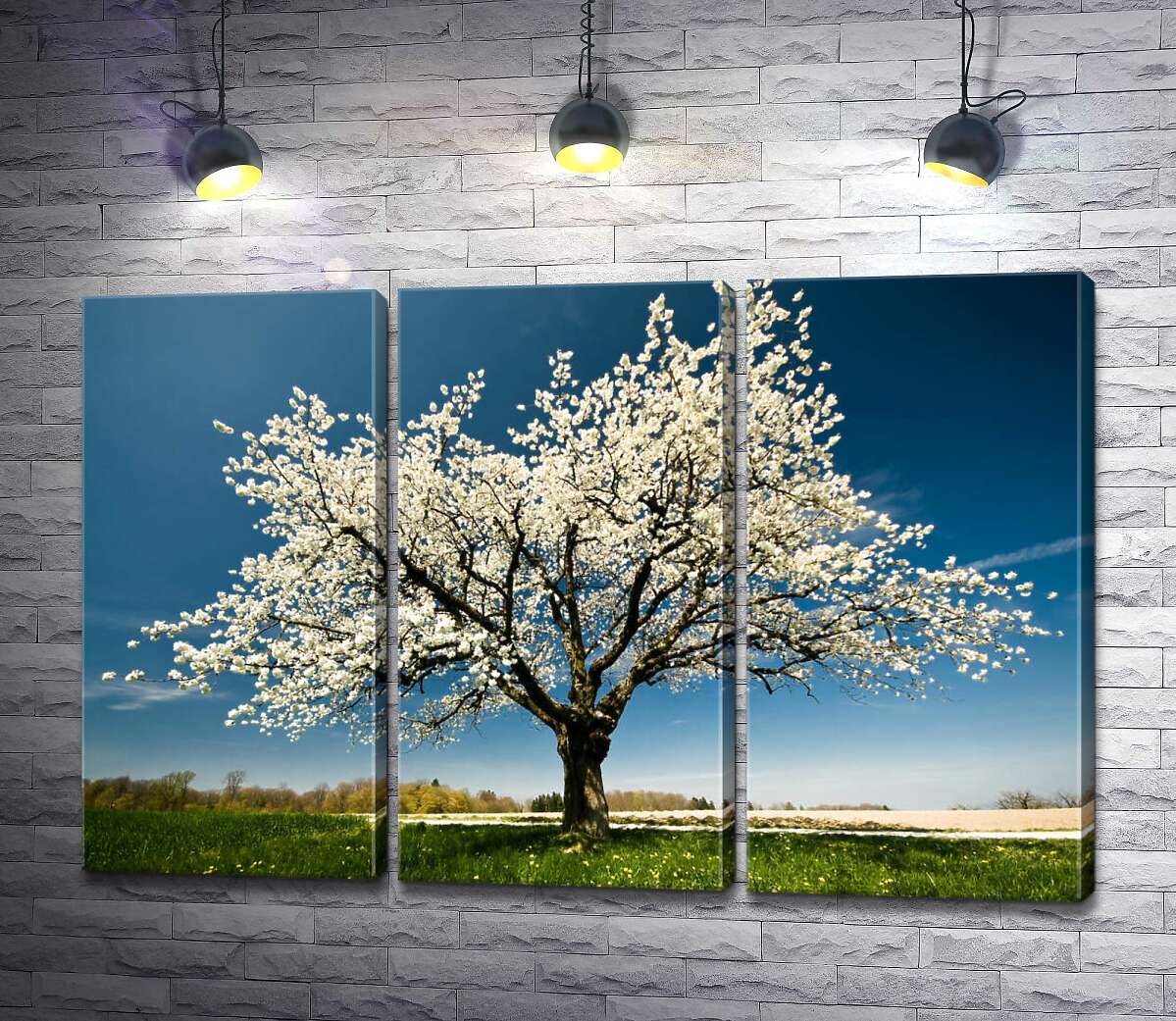 

Модульная картина ArtPoster Ажурное цветение весеннего дерева 60x40 см Модуль №11