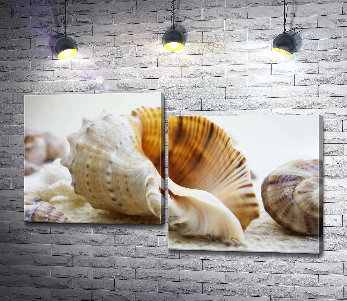 

Модульная картина ArtPoster Ажурные изгибы форм в морских раковинах 100x60 см Модуль №5