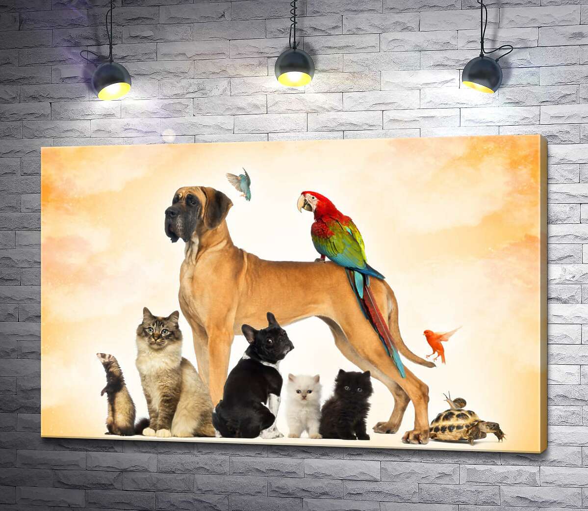 

Картина ArtPoster Разнообразие пернатых и хвостатых домашних питомцев 100x65 см Модуль №1