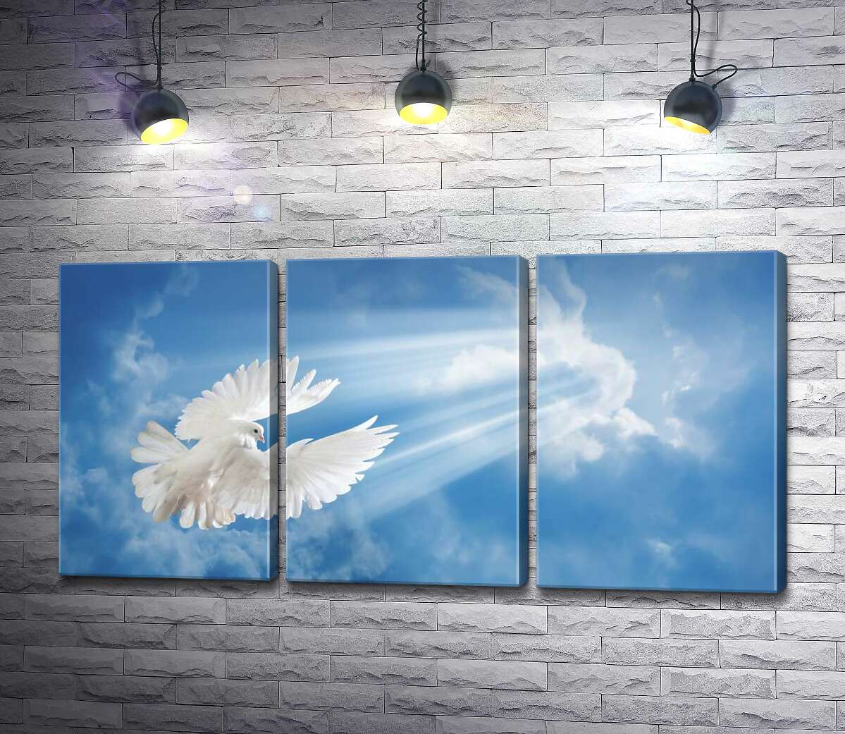 

Модульная картина ArtPoster Белокрылый голубь в лучах солнца поднимается в небо 132x67 см Модуль №11