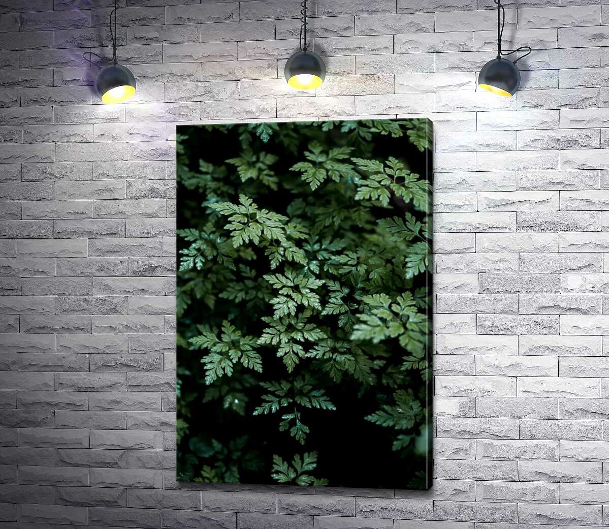 

Картина ArtPoster Таинственные кусты папоротника 100x150 см Модуль №1