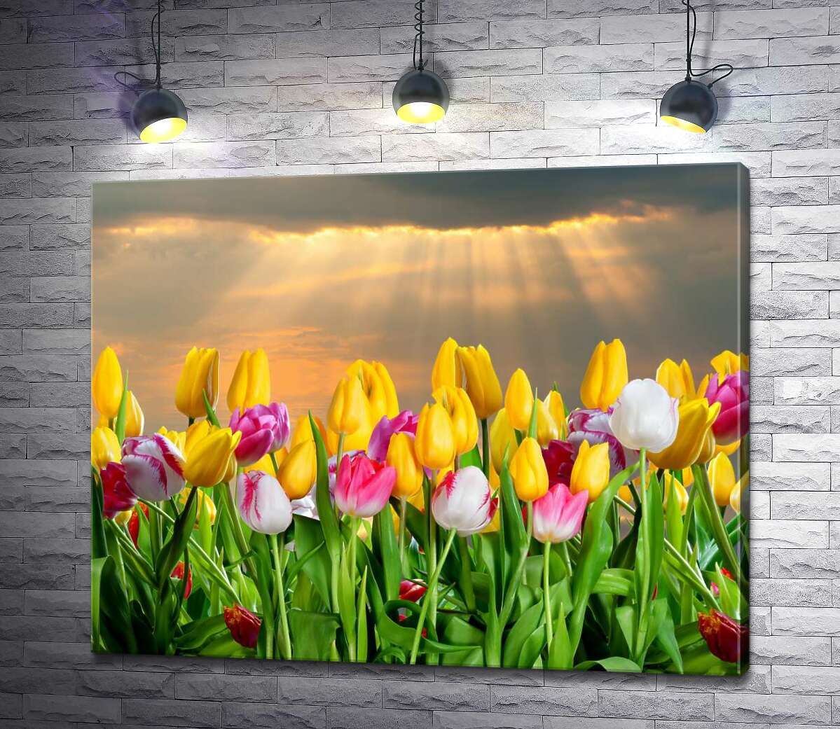 

Картина ArtPoster Розовые лучики пробираются к тюльпановой грядке после весенней грозы 100x80 см Модуль №1