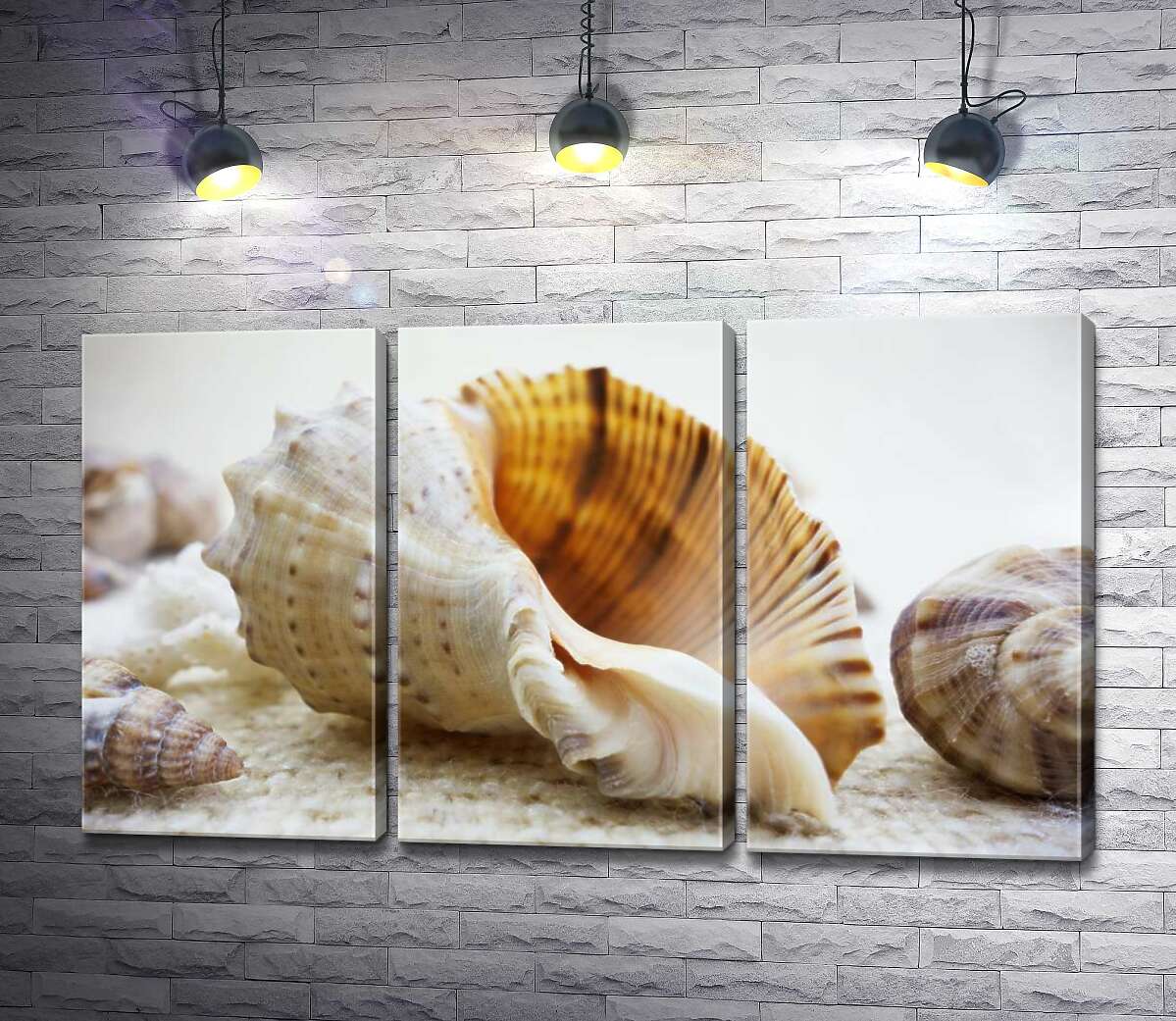 

Модульная картина ArtPoster Ажурные изгибы форм в морских раковинах 102x59 см Модуль №11