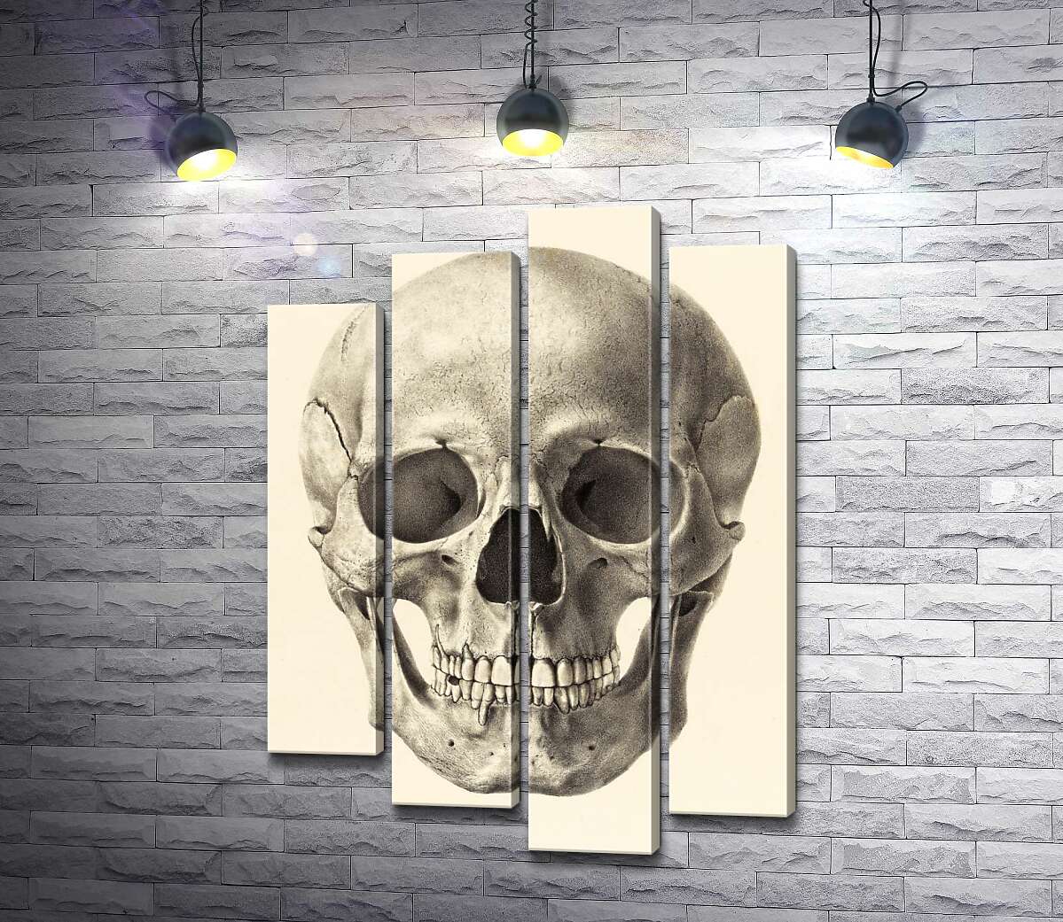 

Модульная картина ArtPoster Анатомия в деталях: череп человека 100x143 см Модуль №21