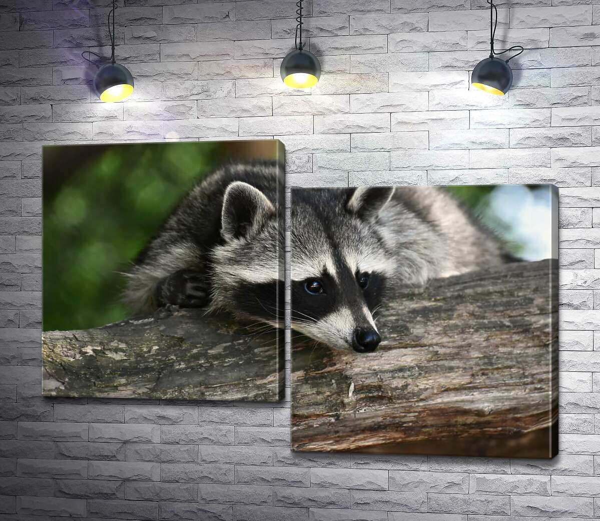 

Модульная картина ArtPoster Енот притаился возле дерева 100x68 см Модуль №5