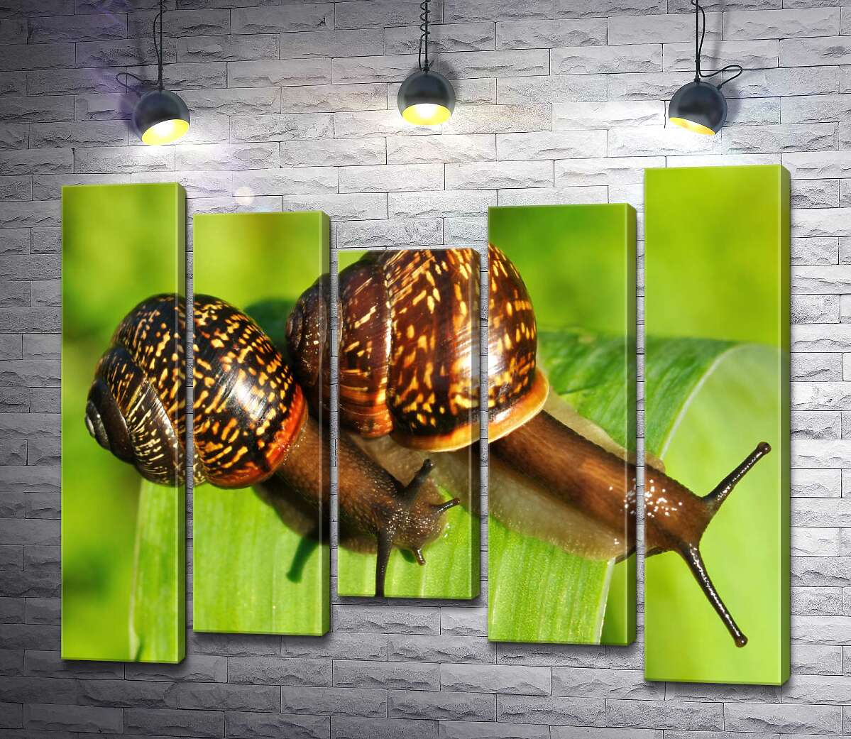 

Модульная картина ArtPoster Две пятнистые улитки ползут по травинке 130x106 см Модуль №28