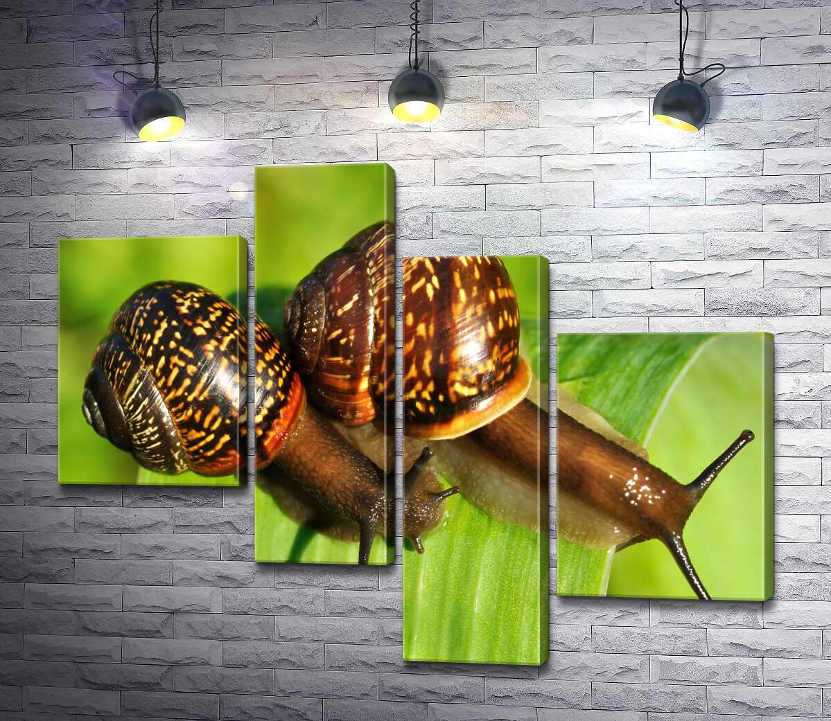 

Модульная картина ArtPoster Две пятнистые улитки ползут по травинке 100x80 см Модуль №20