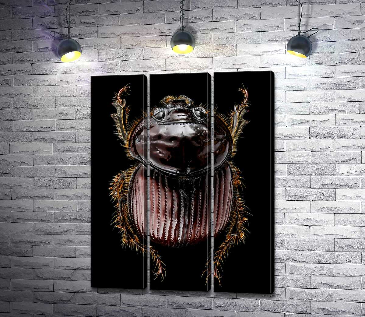 

Модульная картина ArtPoster Коричневая поверхность панциря жука онтофага 60x80 см Модуль №11