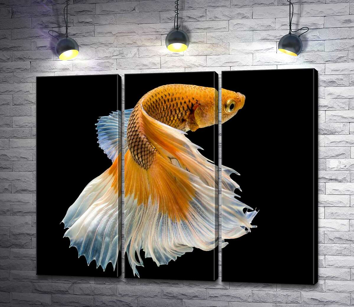 

Модульная картина ArtPoster Золотая рыба-петушок с белым пышным хвостом 132x107 см Модуль №11