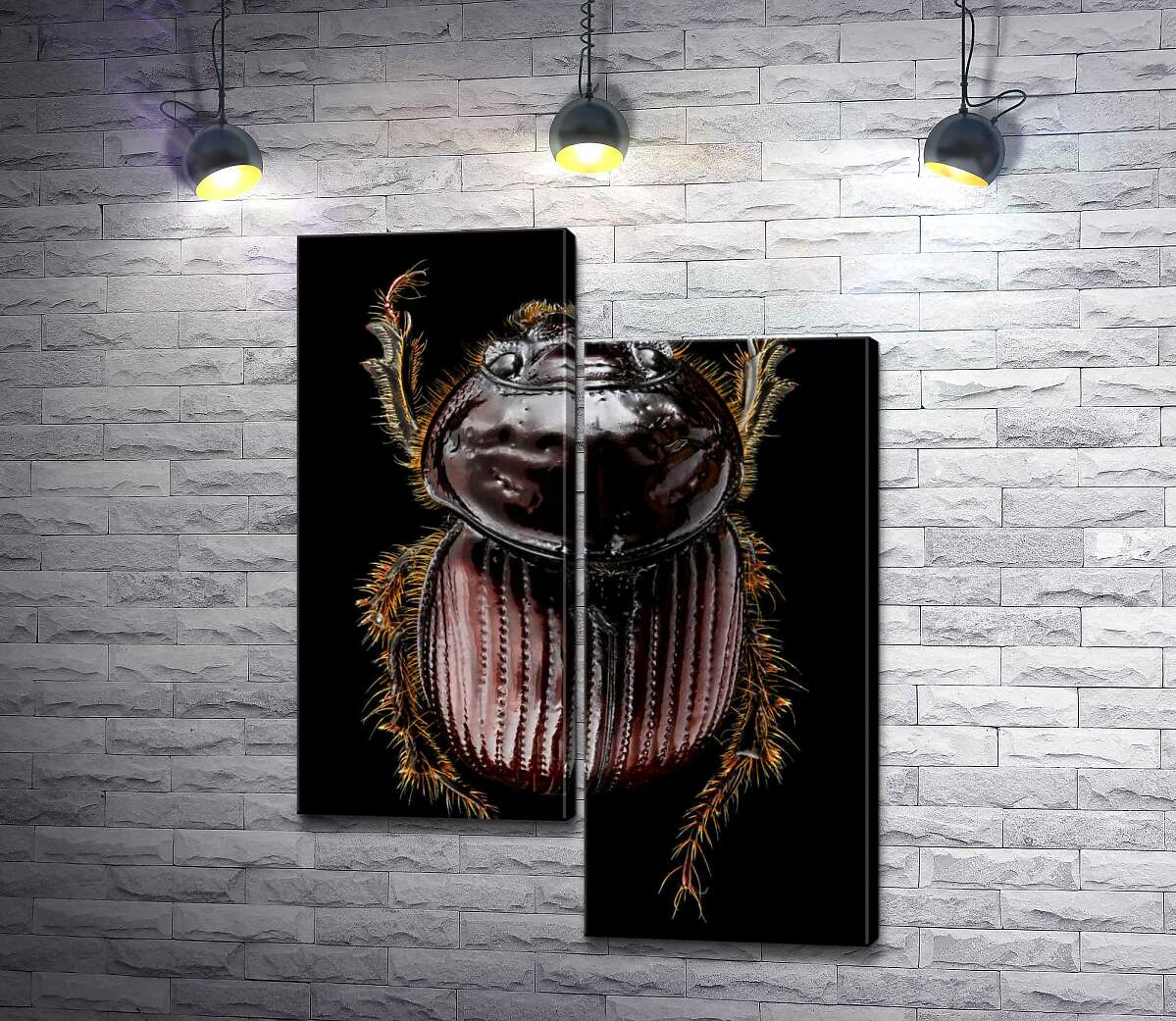 

Модульная картина ArtPoster Коричневая поверхность панциря жука онтофага 130x174 см Модуль №5