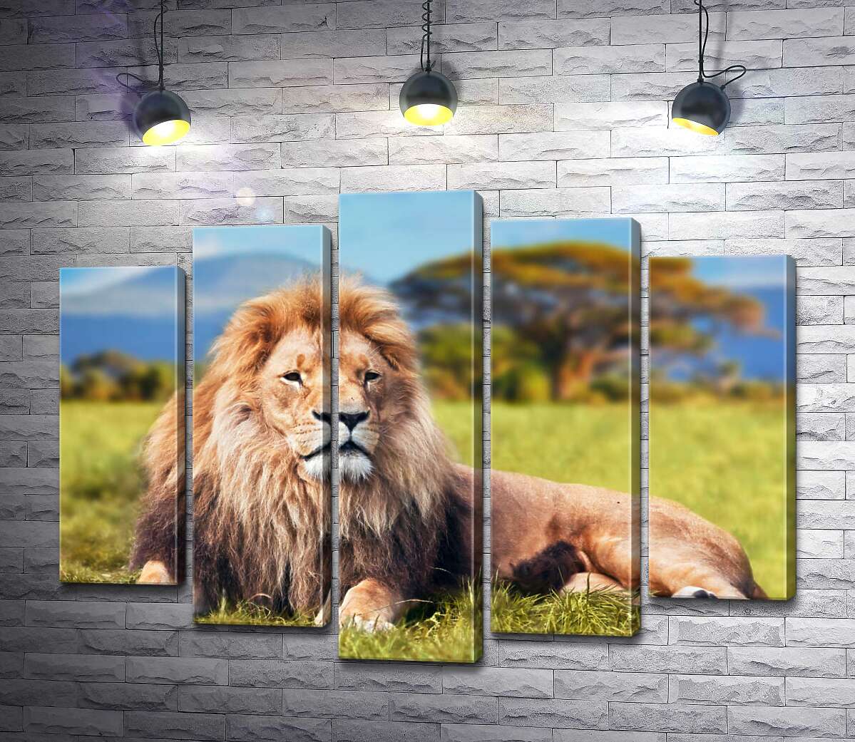 

Модульная картина ArtPoster Лев отдыхает среди саванны 130x99 см Модуль №26
