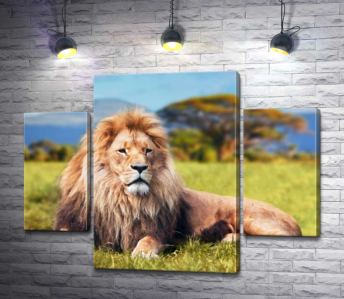 

Модульная картина ArtPoster Лев отдыхает среди саванны 80x60 см Модуль №7