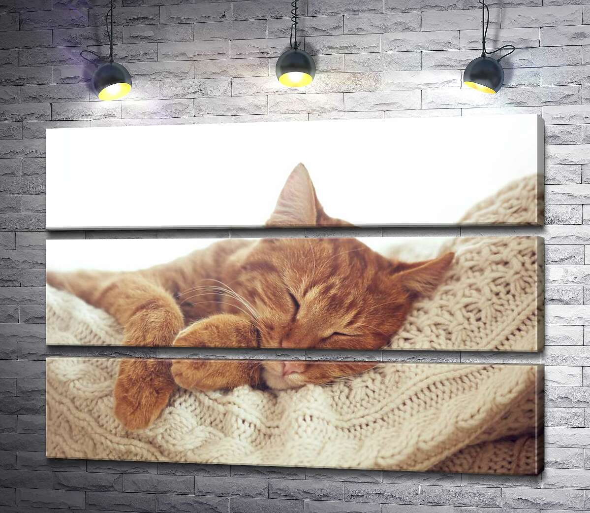 

Модульная картина ArtPoster Кот мило отдыхает на белой подушке 100x69 см Модуль №13