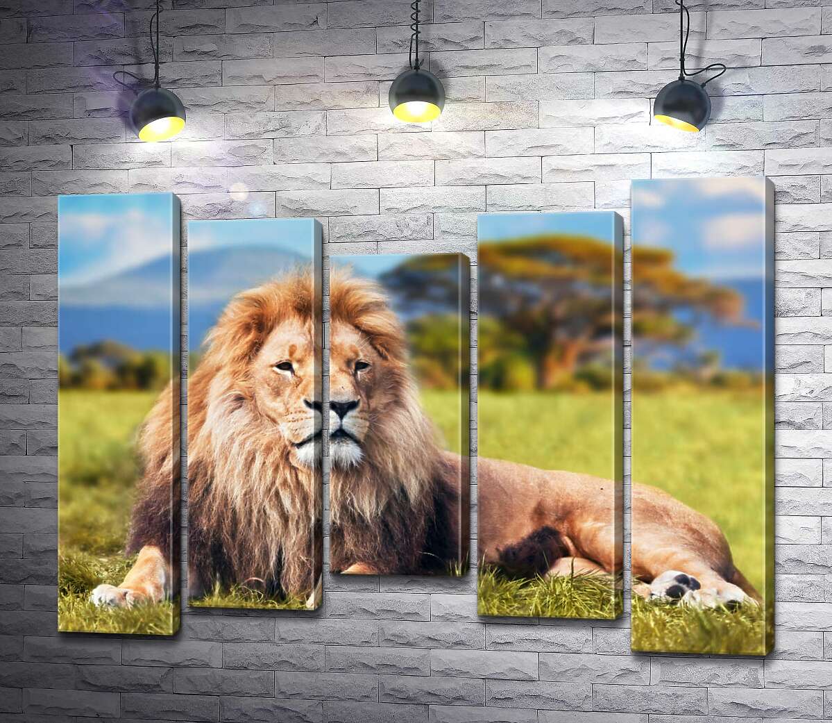 

Модульная картина ArtPoster Лев отдыхает среди саванны 100x75 см Модуль №28