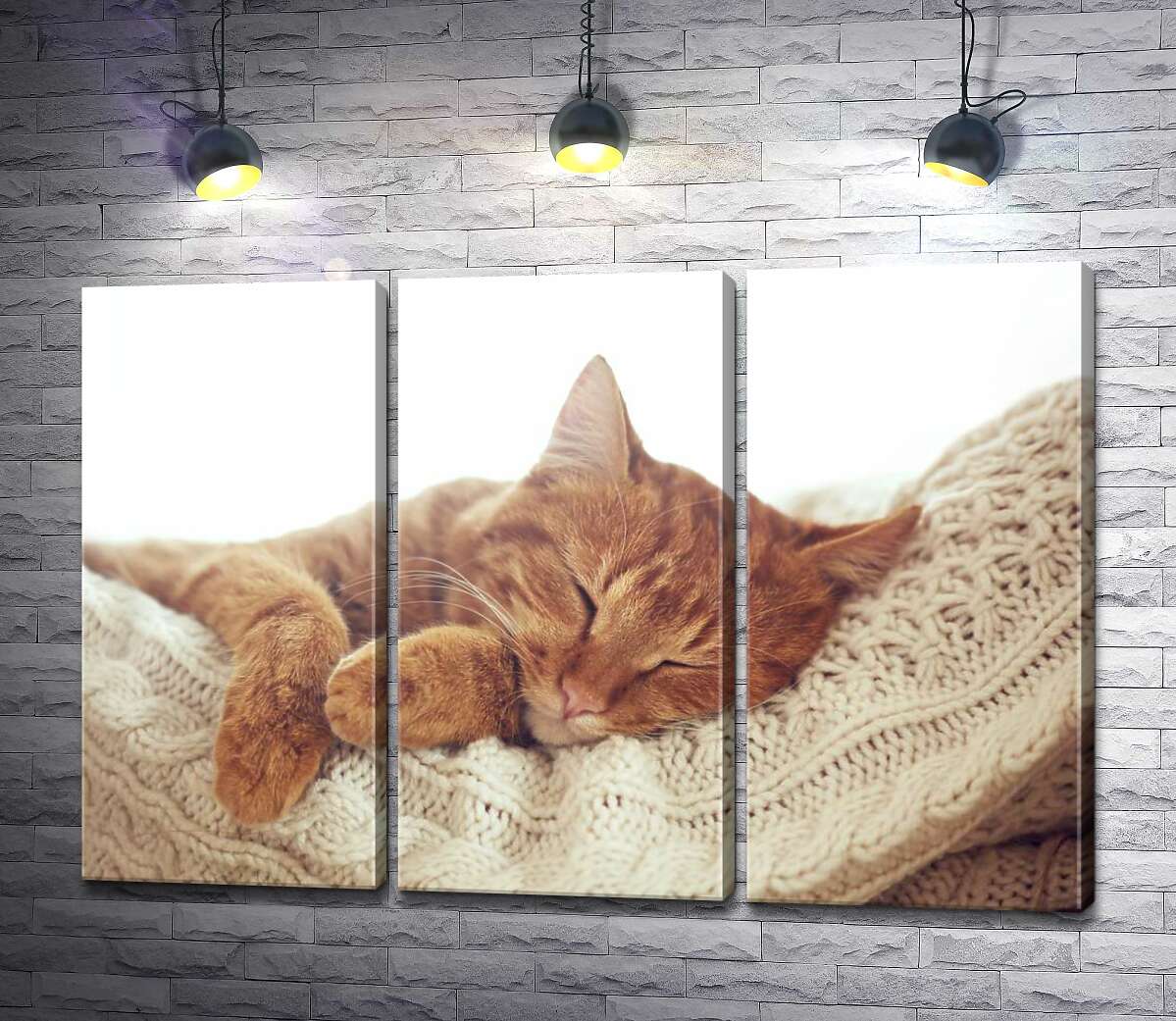 

Модульная картина ArtPoster Кот мило отдыхает на белой подушке 102x69 см Модуль №11