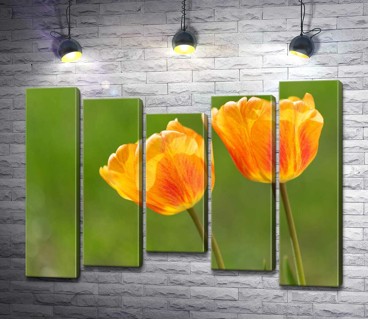 

Модульная картина ArtPoster Красный узор на желтых тюльпанах 130x97 см Модуль №28