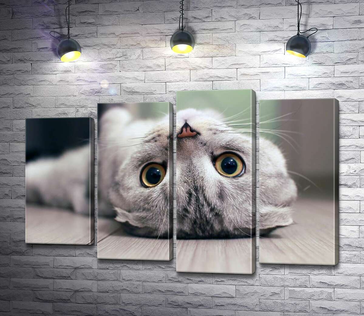 

Модульная картина ArtPoster Милый взгляд серого шотландского кота 132x89 см Модуль №21