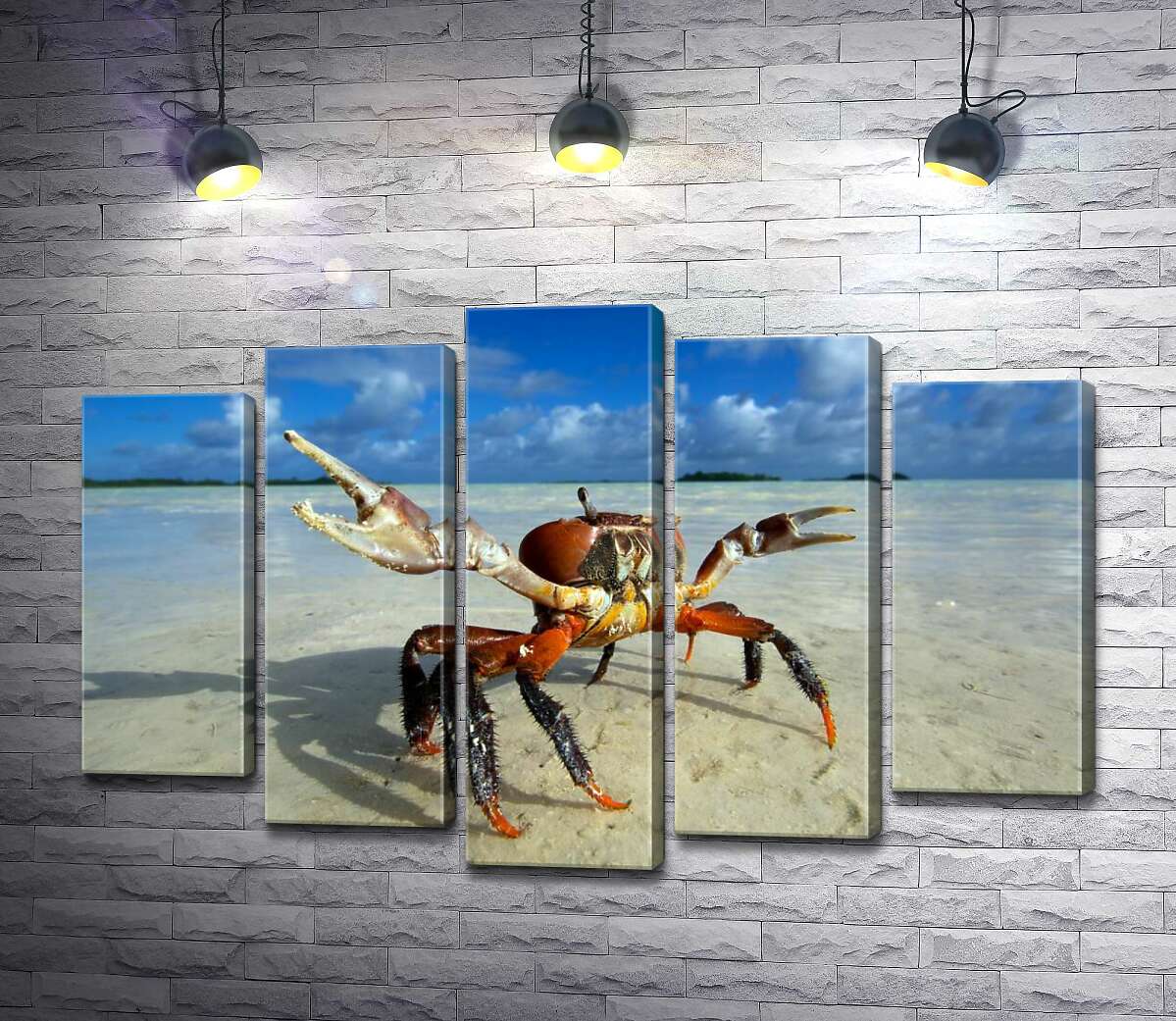 

Модульная картина ArtPoster Краб готовит клешни к нападению 130x86 см Модуль №26