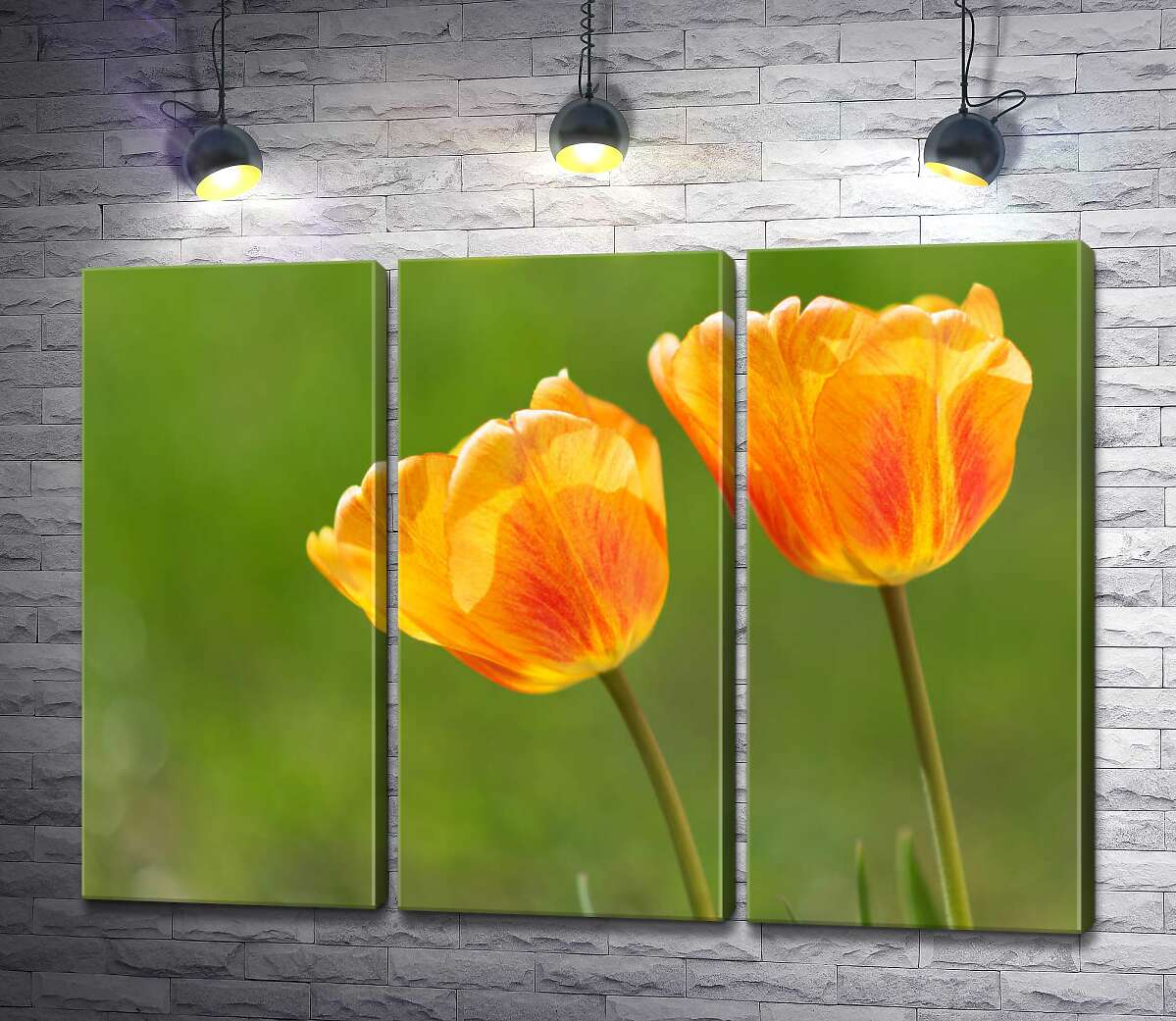 

Модульная картина ArtPoster Красный узор на желтых тюльпанах 60x44 см Модуль №11