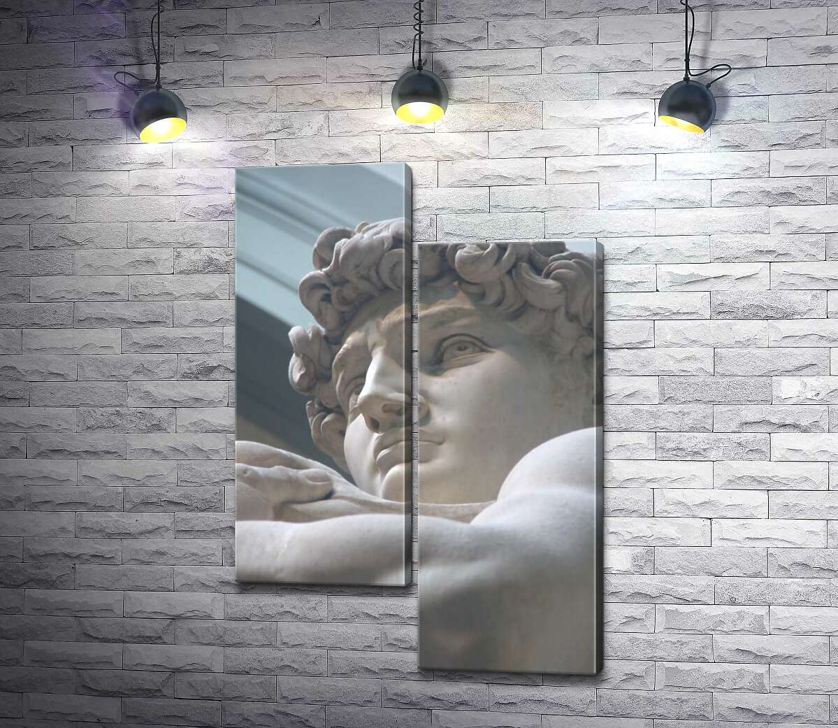 

Модульная картина ArtPoster Лицо мраморной статуи Давида 50x76 см Модуль №5