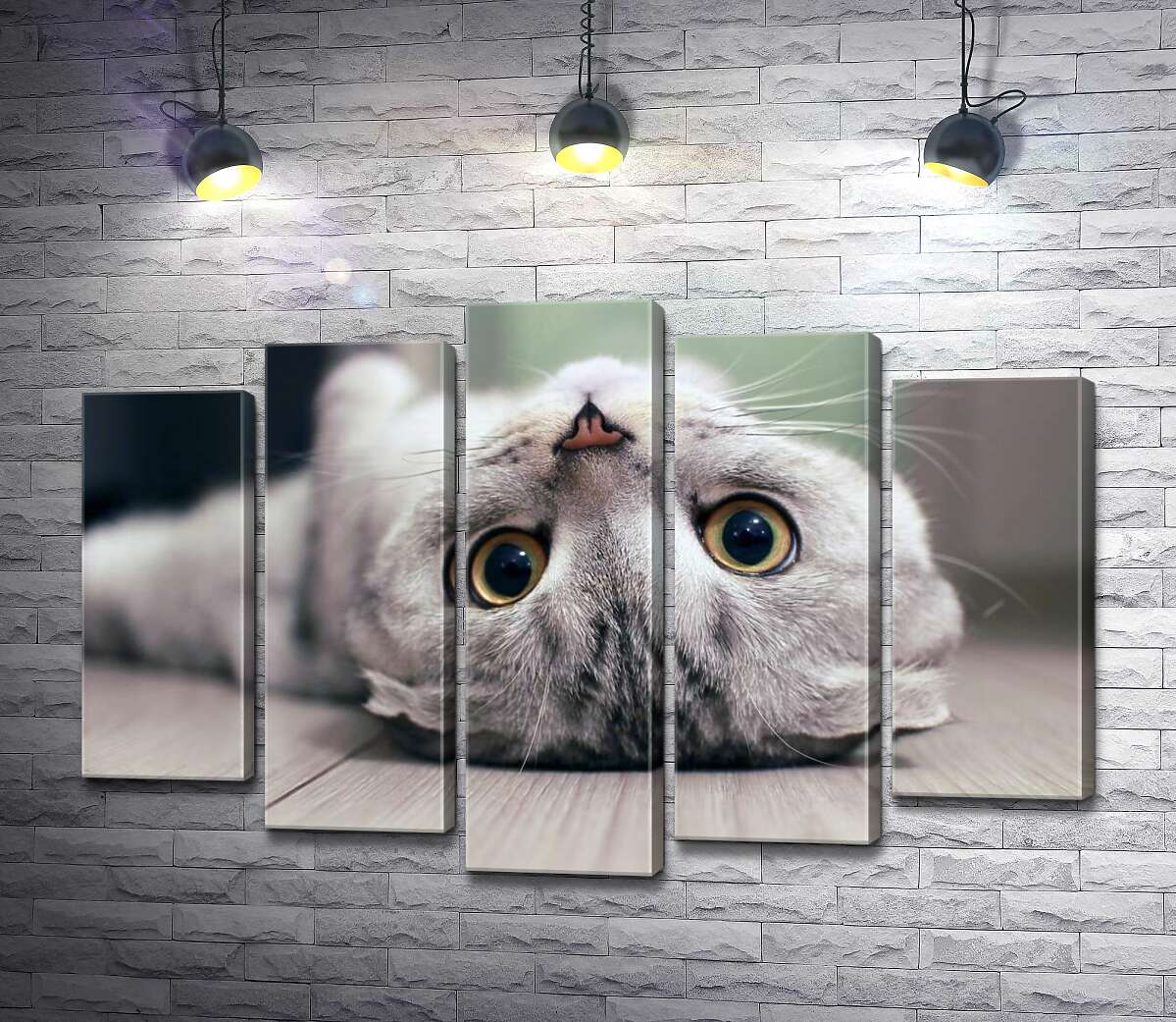 

Модульная картина ArtPoster Милый взгляд серого шотландского кота 100x69 см Модуль №26