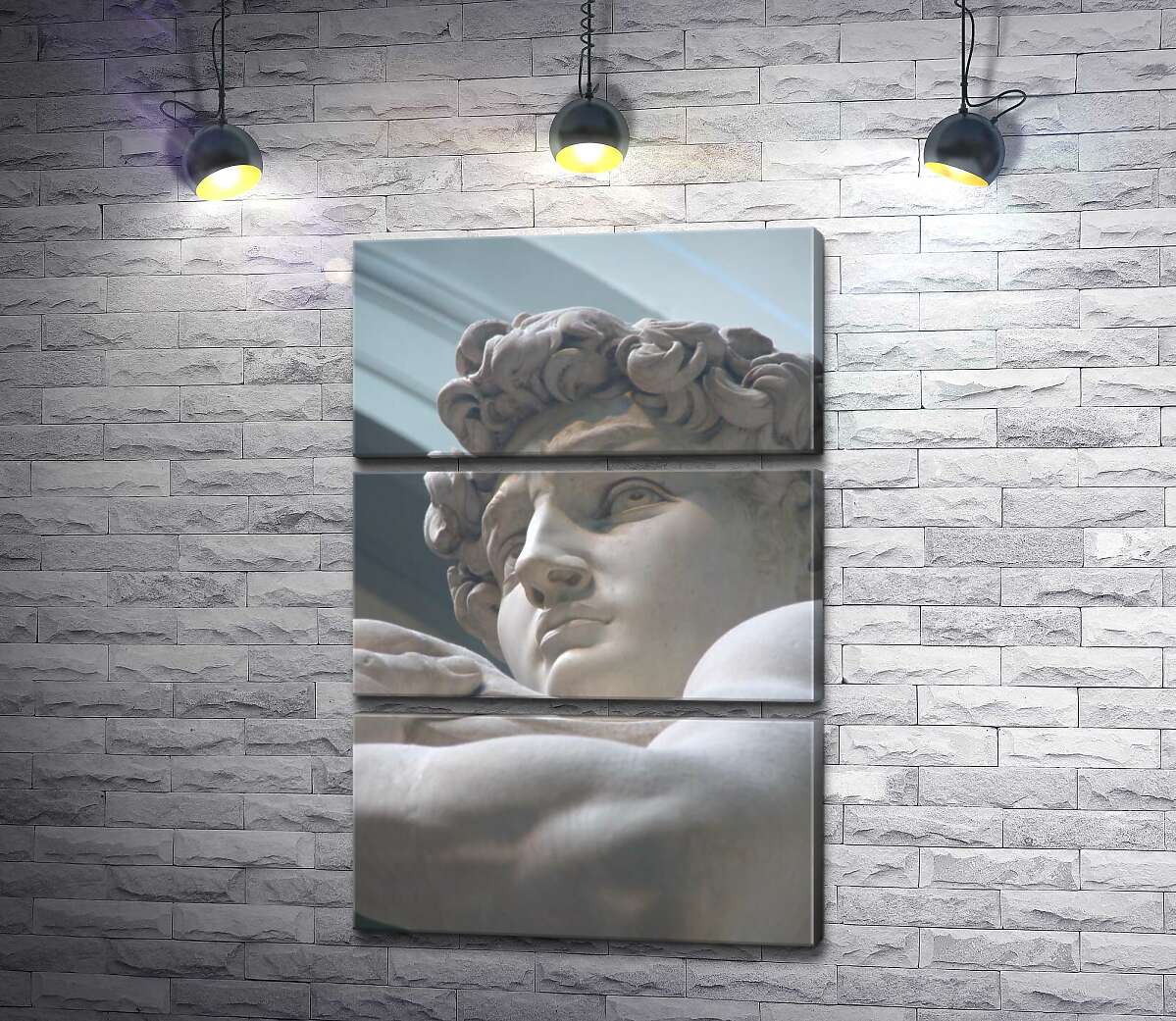 

Модульная картина ArtPoster Лицо мраморной статуи Давида 130x195 см Модуль №13